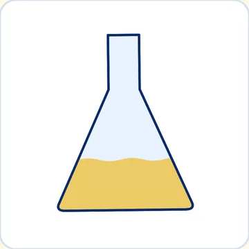 Erlenmeyer