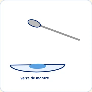 Spatule et verre de montre